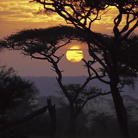 Sanctuary Swala Hotel Babati Exterior photo