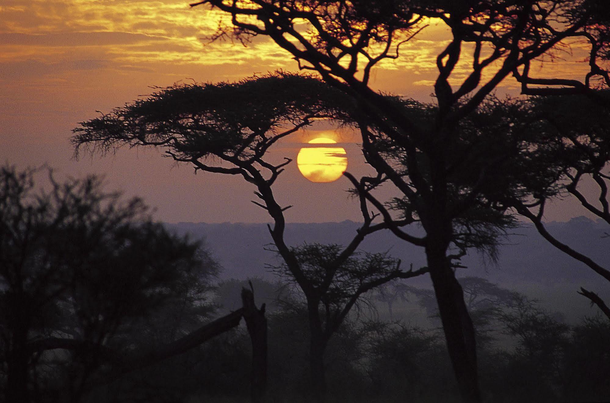 Sanctuary Swala Hotel Babati Exterior photo